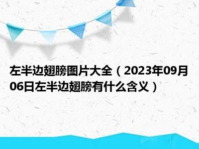 左半边翅膀图片大全（2023年09月06日左半边翅膀有什么含义）