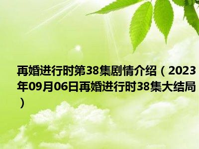 再婚进行时第38集剧情介绍（2023年09月06日再婚进行时38集大结局）