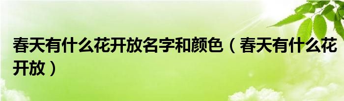  春天有什么花开放名字和颜色（春天有什么花开放）