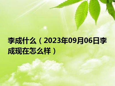 李成什么（2023年09月06日李成现在怎么样）