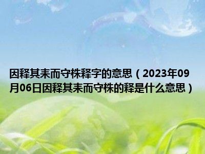 因释其耒而守株释字的意思（2023年09月06日因释其耒而守株的释是什么意思）