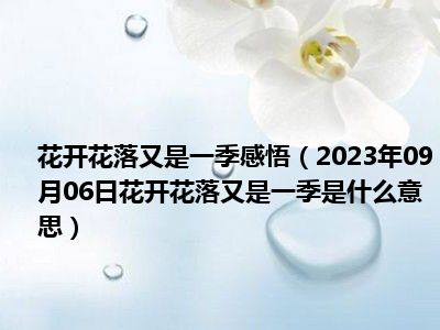 花开花落又是一季感悟（2023年09月06日花开花落又是一季是什么意思）