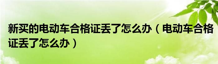  新买的电动车合格证丢了怎么办（电动车合格证丢了怎么办）