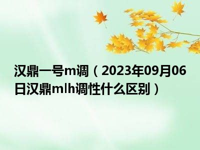 汉鼎一号m调（2023年09月06日汉鼎mlh调性什么区别）