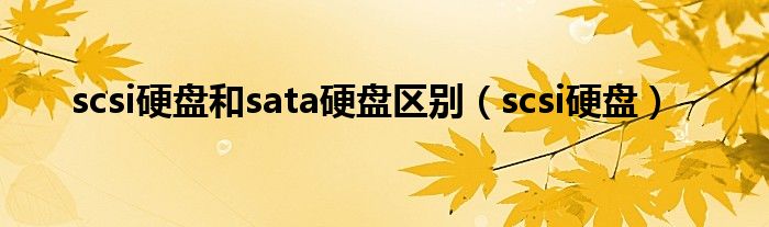  scsi硬盘和sata硬盘区别（scsi硬盘）