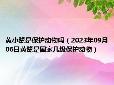 黄小鹭是保护动物吗（2023年09月06日黄鹭是国家几级保护动物）