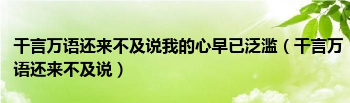  千言万语还来不及说我的心早已泛滥（千言万语还来不及说）