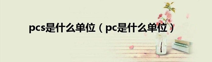  pcs是什么单位（pc是什么单位）