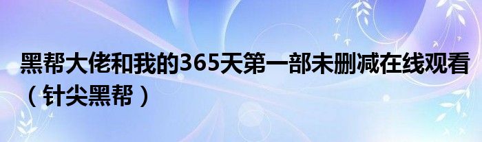  黑帮大佬和我的365天第一部未删减在线观看（针尖黑帮）