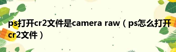 ps打开cr2文件是camera raw（ps怎么打开cr2文件）