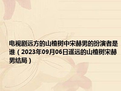 电视剧远方的山楂树中宋赫男的扮演者是谁（2023年09月06日遥远的山楂树宋赫男结局）