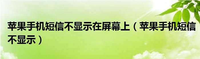  苹果手机短信不显示在屏幕上（苹果手机短信不显示）