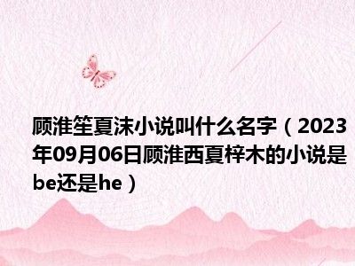 顾淮笙夏沫小说叫什么名字（2023年09月06日顾淮西夏梓木的小说是be还是he）