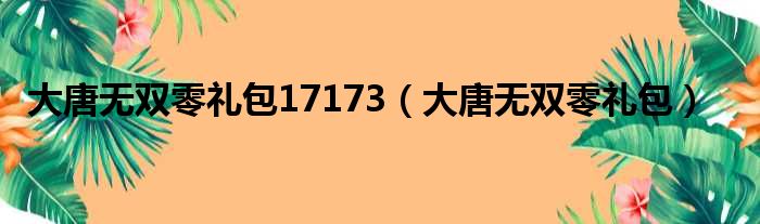 大唐无双零礼包17173（大唐无双零礼包）