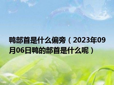 鸭部首是什么偏旁（2023年09月06日鸭的部首是什么呢）