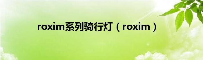  roxim系列骑行灯（roxim）