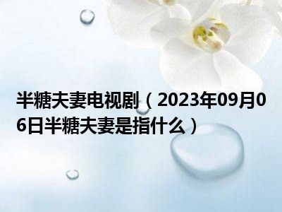 半糖夫妻电视剧（2023年09月06日半糖夫妻是指什么）