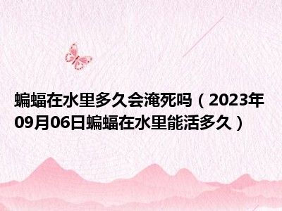 蝙蝠在水里多久会淹死吗（2023年09月06日蝙蝠在水里能活多久）