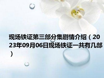 现场铁证第三部分集剧情介绍（2023年09月06日现场铁证一共有几部）