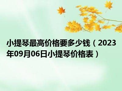 小提琴最高价格要多少钱（2023年09月06日小提琴价格表）