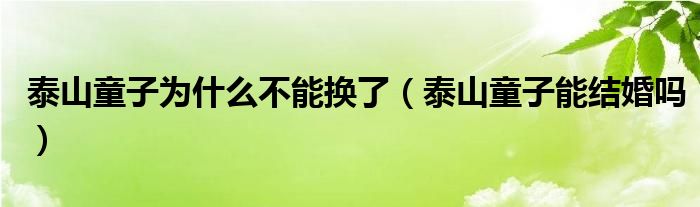  泰山童子为什么不能换了（泰山童子能结婚吗）