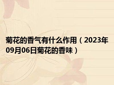 菊花的香气有什么作用（2023年09月06日菊花的香味）