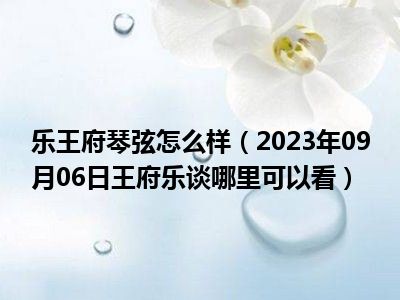 乐王府琴弦怎么样（2023年09月06日王府乐谈哪里可以看）