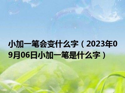 小加一笔会变什么字（2023年09月06日小加一笔是什么字）