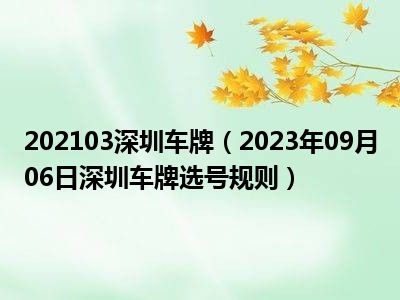 202103深圳车牌（2023年09月06日深圳车牌选号规则）