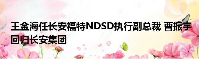 王金海任长安福特NDSD执行副总裁 曹振宇回归长安集团