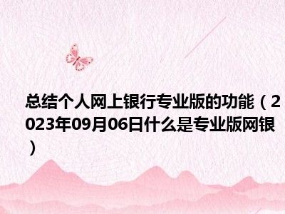 总结个人网上银行专业版的功能（2023年09月06日什么是专业版网银）