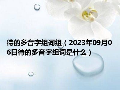 待的多音字组词组（2023年09月06日待的多音字组词是什么）