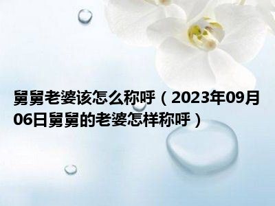 舅舅老婆该怎么称呼（2023年09月06日舅舅的老婆怎样称呼）