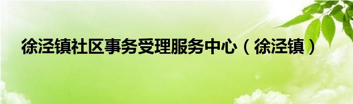  徐泾镇社区事务受理服务中心（徐泾镇）