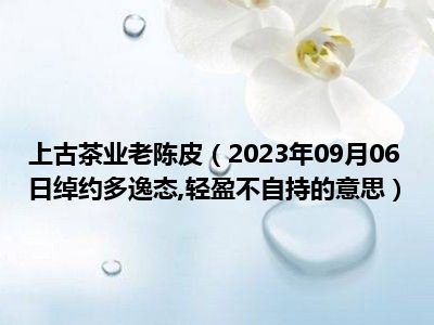 上古茶业老陈皮（2023年09月06日绰约多逸态 轻盈不自持的意思）