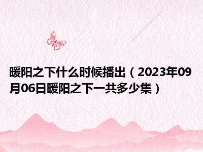 暖阳之下什么时候播出（2023年09月06日暖阳之下一共多少集）