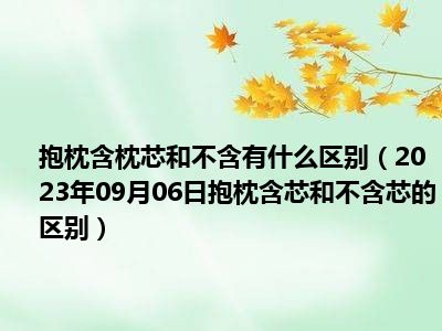 抱枕含枕芯和不含有什么区别（2023年09月06日抱枕含芯和不含芯的区别）