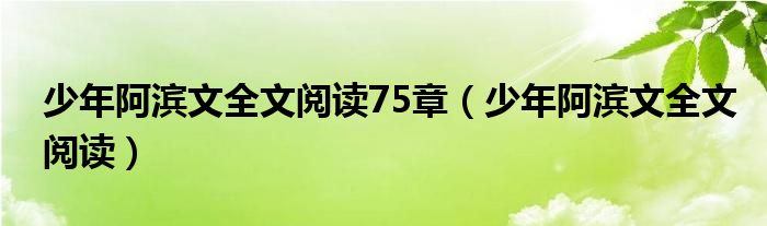  少年阿滨文全文阅读75章（少年阿滨文全文阅读）