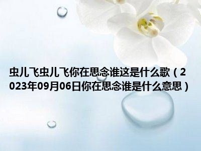 虫儿飞虫儿飞你在思念谁这是什么歌（2023年09月06日你在思念谁是什么意思）