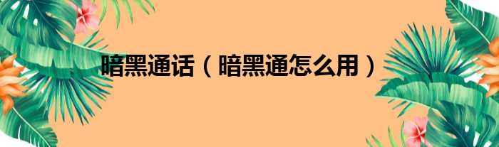 暗黑通话（暗黑通怎么用）