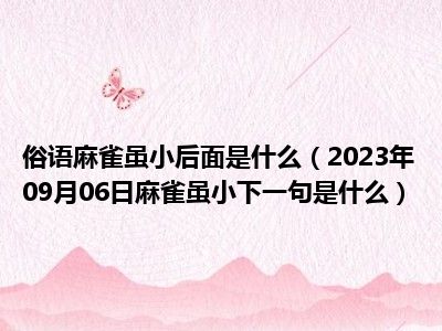 俗语麻雀虽小后面是什么（2023年09月06日麻雀虽小下一句是什么）