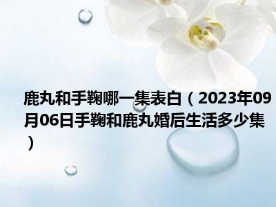 鹿丸和手鞠哪一集表白（2023年09月06日手鞠和鹿丸婚后生活多少集）