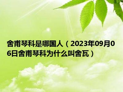 舍甫琴科是哪国人（2023年09月06日舍甫琴科为什么叫舍瓦）