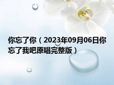 你忘了你（2023年09月06日你忘了我吧原唱完整版）