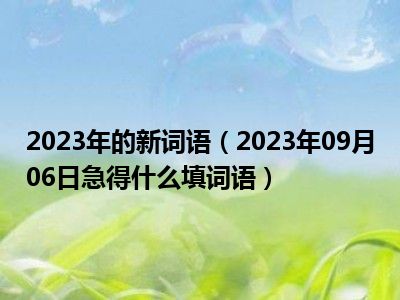 2023年的新词语（2023年09月06日急得什么填词语）