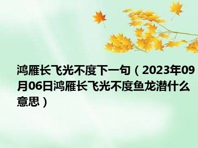 鸿雁长飞光不度下一句（2023年09月06日鸿雁长飞光不度鱼龙潜什么意思）