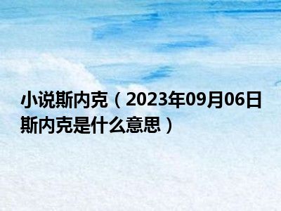 小说斯内克（2023年09月06日斯内克是什么意思）