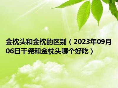 金枕头和金枕的区别（2023年09月06日干尧和金枕头哪个好吃）