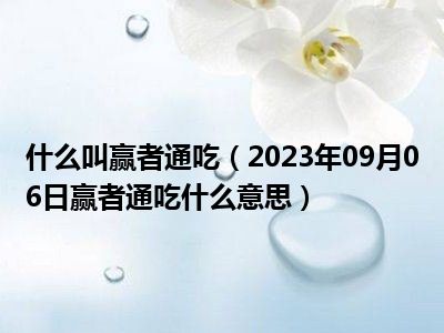 什么叫赢者通吃（2023年09月06日赢者通吃什么意思）