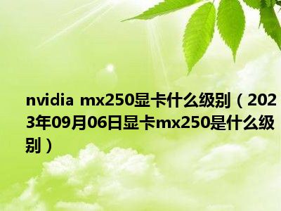nvidia mx250显卡什么级别（2023年09月06日显卡mx250是什么级别）